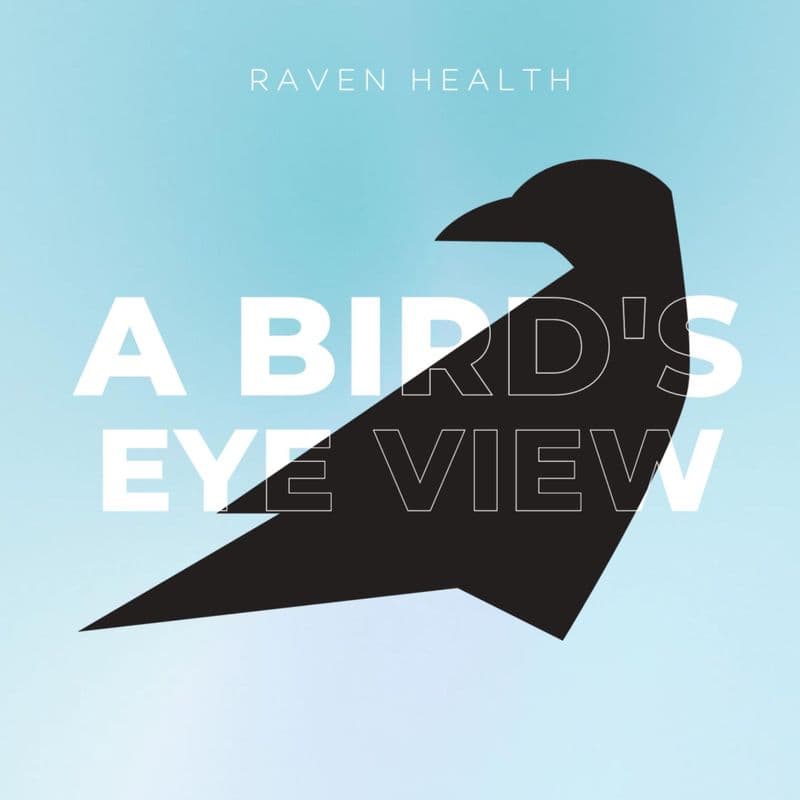 A Bird’s Eye View